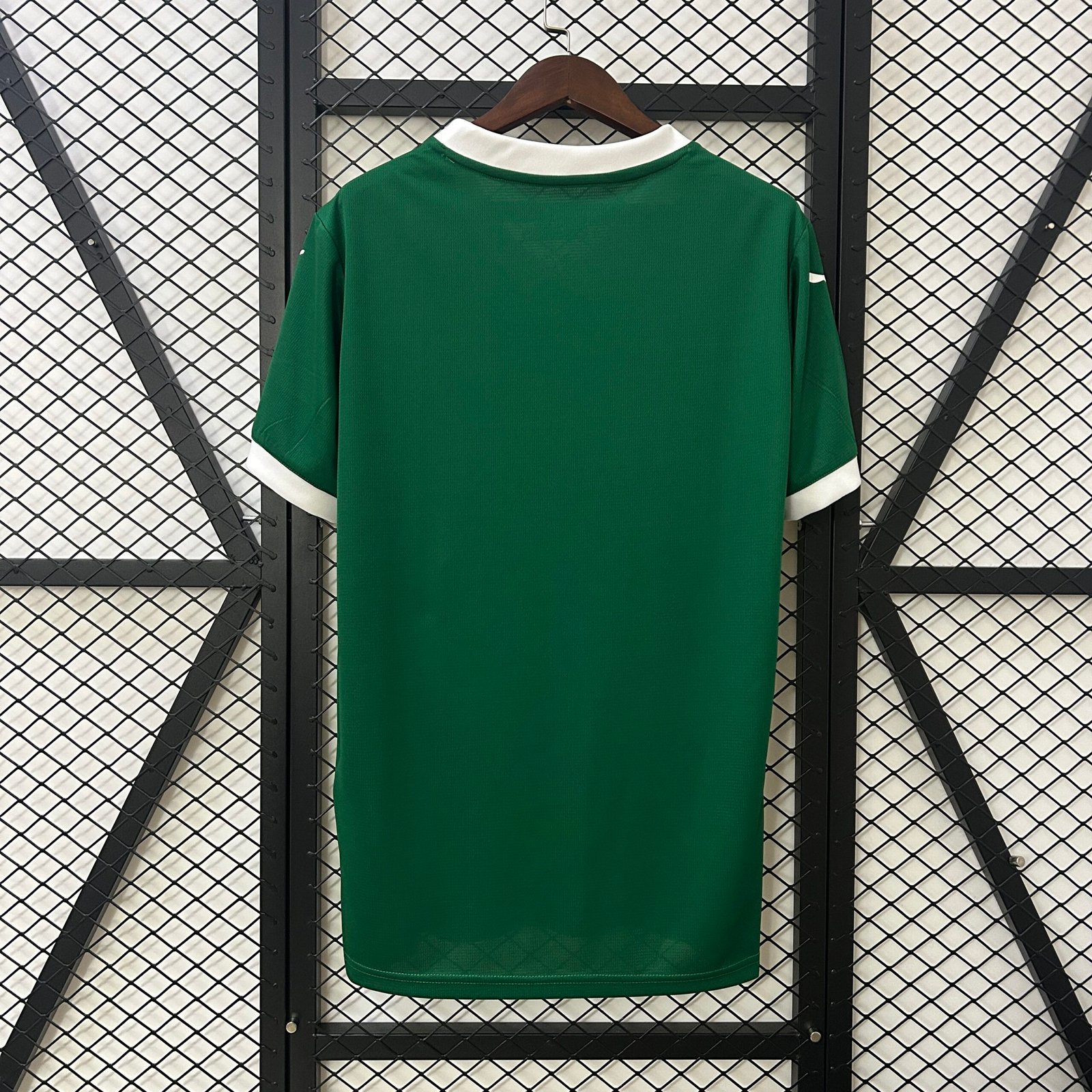 Camiseta del Palmeiras 25-26