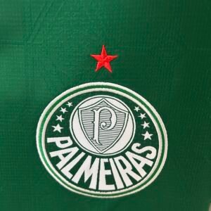 Camiseta del Palmeiras 25-26