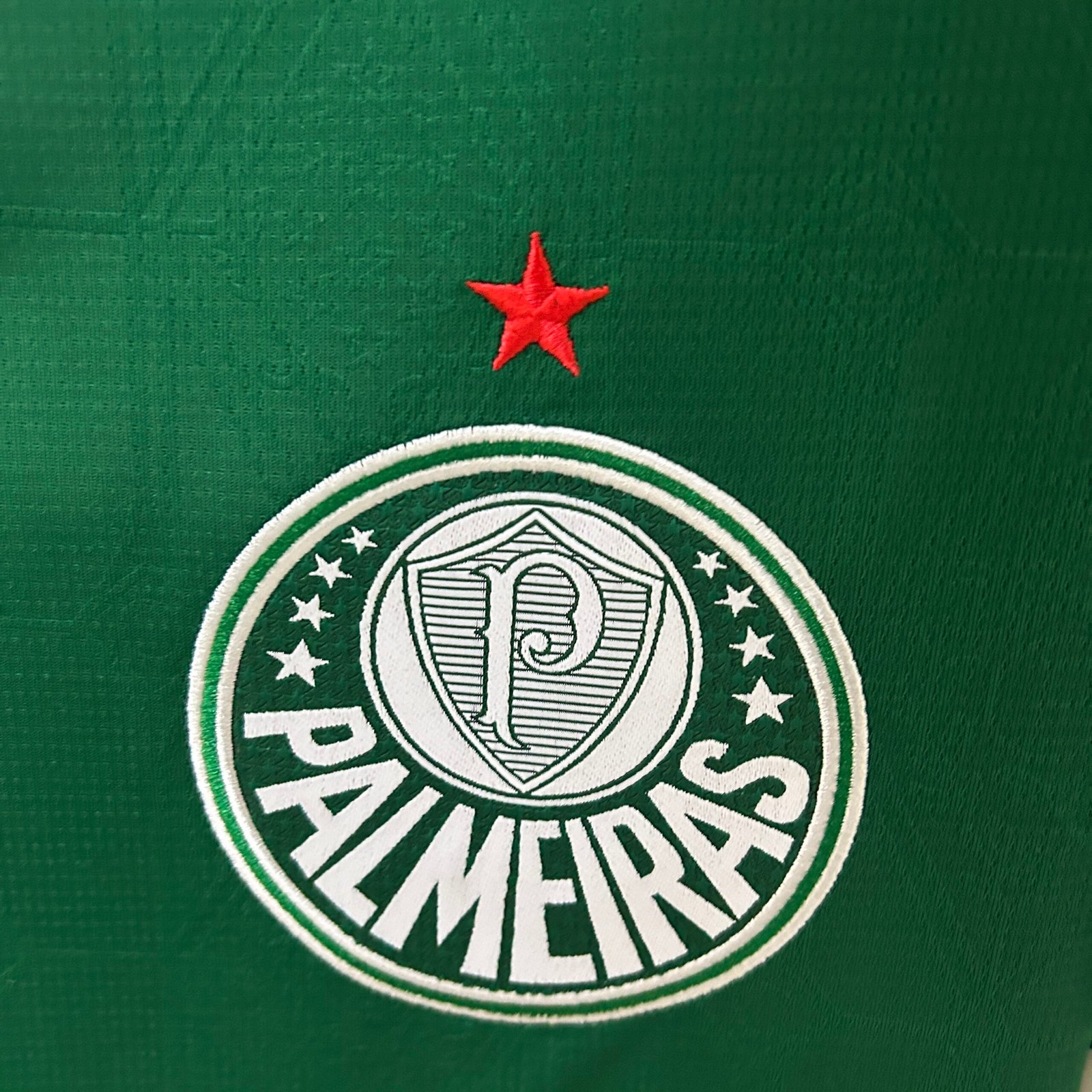 Camiseta del Palmeiras 25-26